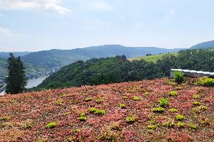 Ausblick