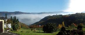 the view